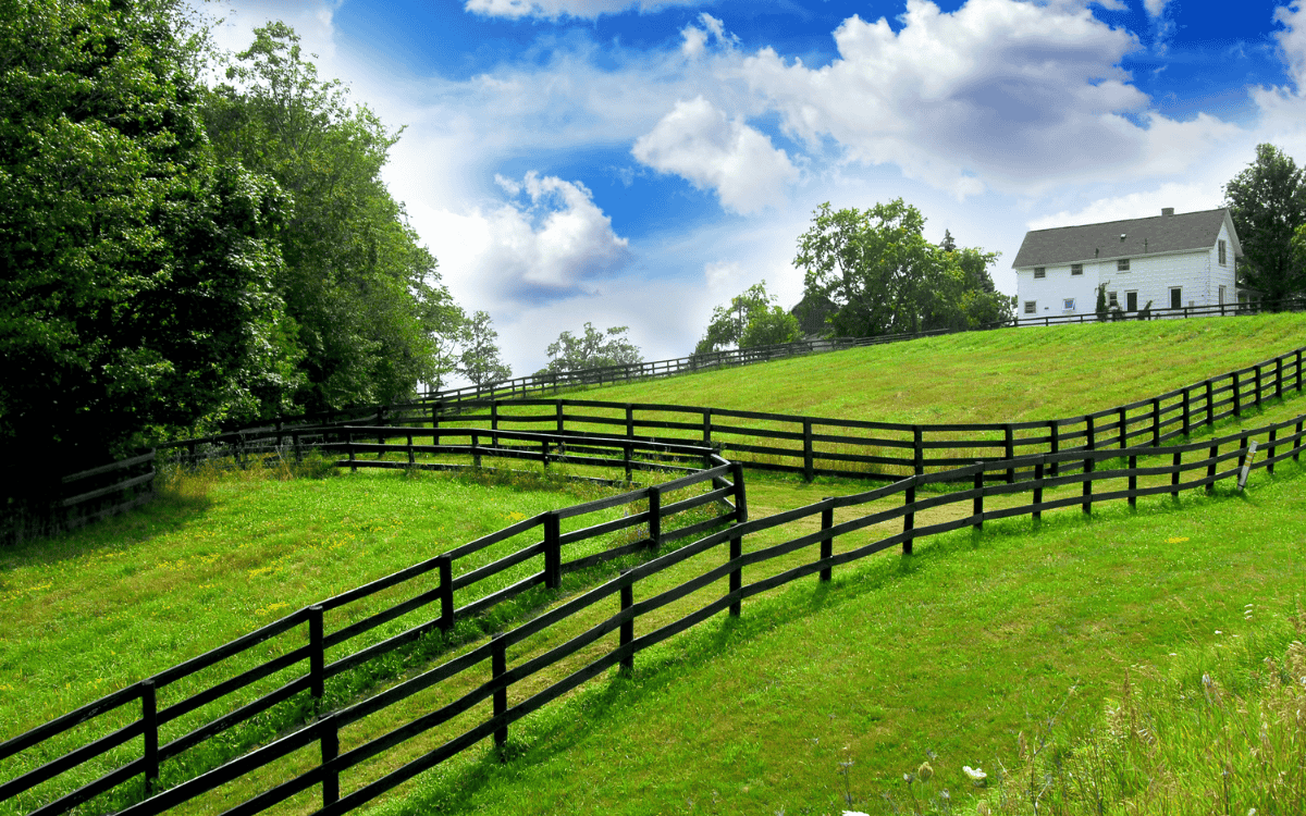 Embracing Rural Life